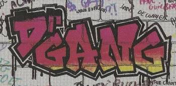 logo Dr Gang